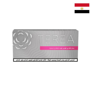 Стики Terea SILVER (блок) для iqos iluma (Египет)