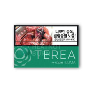 Стики Terea Green (блок) для iqos iluma (Корея)