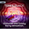 Стики Terea Black Purple для iqos iluma
